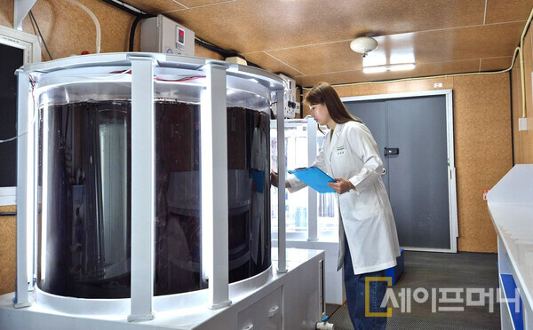 ▲ 풀무원기술원 연구원이 생물 반응조(바이오리엑터)로 불리는 큰 수조 안에서 물김을 재배하며 연구하고 있다. ⓒ 풀무원