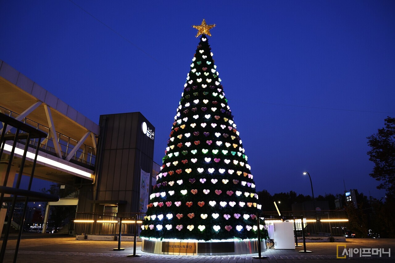 ▲ⓒ 세이프머니