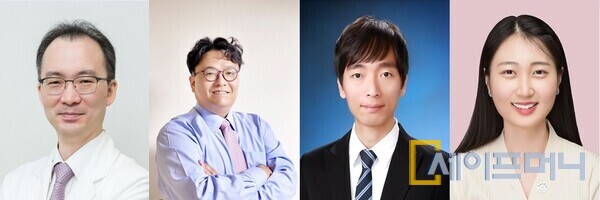 ▲ 분당서울대병원은 연구팀이 폐경 여성의 약물 호르몬 치료를 대체할 세포 기반 인공 난소를 개발했다. 왼쪽부터 분당서울대병원 산부인과 이정렬 교수, 서울대 융합과학기술대학원 이강원 교수·양충모 박사, 양희선 박사과정. ⓒ 분당서울대병원