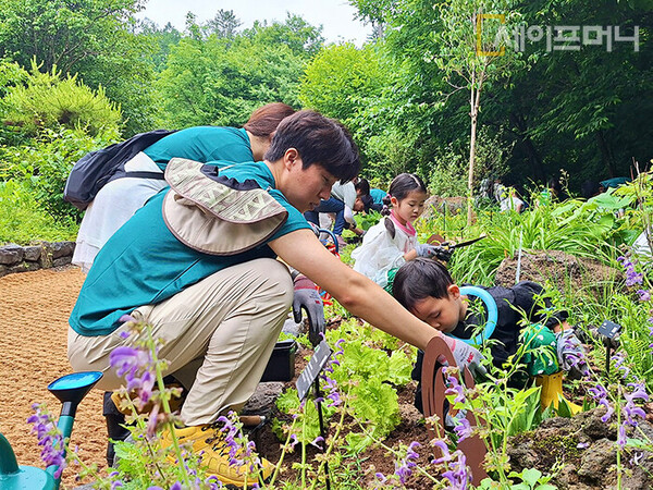 ▲ 신세계푸드 임직원과 가족들이 경기 포천 국립수목원 내 맛있는정원 조성 활동에 참여하고 있다. ⓒ 신세계푸드