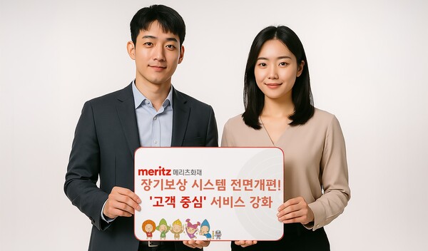 ▲ ⓒ 메리츠화재