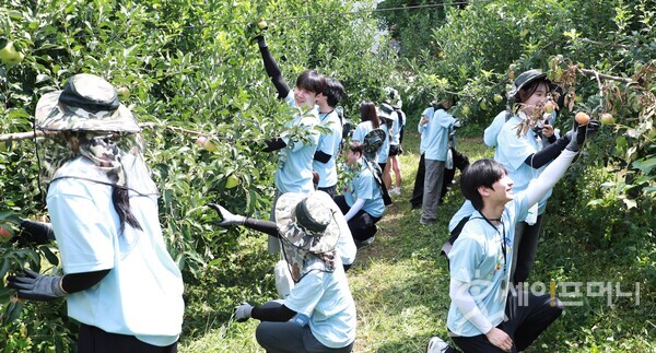 ▲ ⓒ 농협 상호금융
