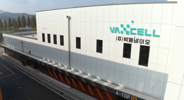 ▲ 박셀바이오가 고형암에서 CAR-T 치료제가 한계에 부딪힌 근본 원인을 분석한 연구논문을 국제학술지 JHO에 게재했다. ⓒ 박셀바이오