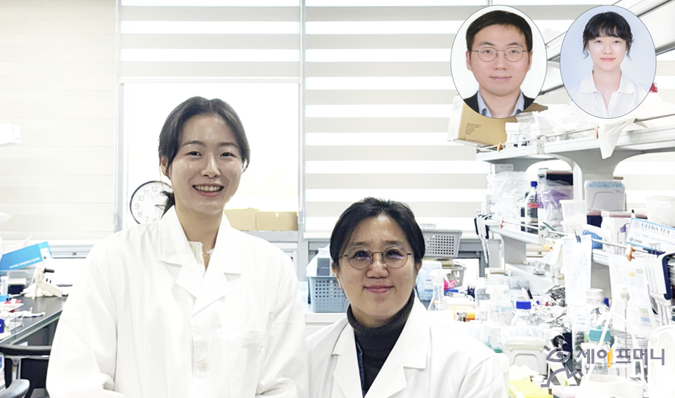 ▲ KAIST 연구팀이 우울장애가 단순한 기분 문제가 아니라 몸에서 일어나는 염증 반응과 면역세포 기능 불균형에서 비롯됐음을 밝혀냈다.왼쪽부터 KAIST 안인숙 박사과정·한진주 교수. 상단 왼쪽부터 김양식 인하대의대 교수, 장소연 박사과정(정신건강의학과 전문의). ⓒ  KAIST